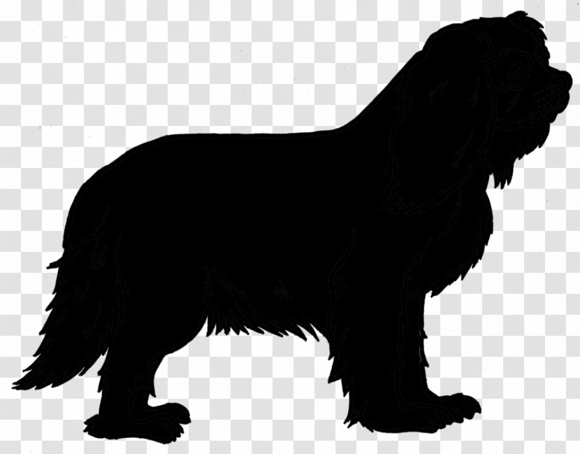 Sheltie Vector Graphics Royalty-free Stock Illustration - Spaniel - Shepherd Dog Transparent PNG