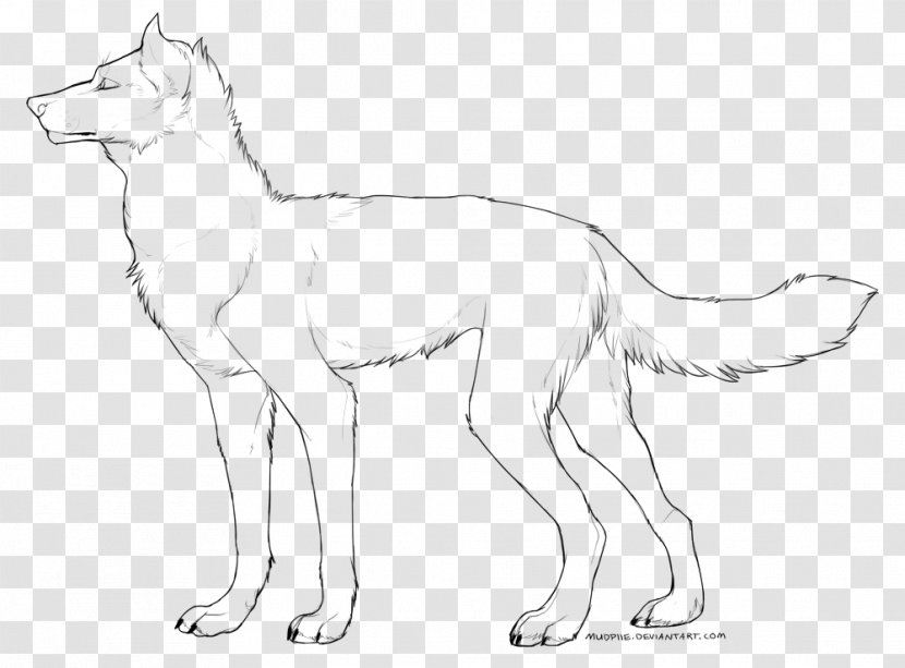 Dog Breed Red Fox Line Art Whiskers - Like Mammal Transparent PNG