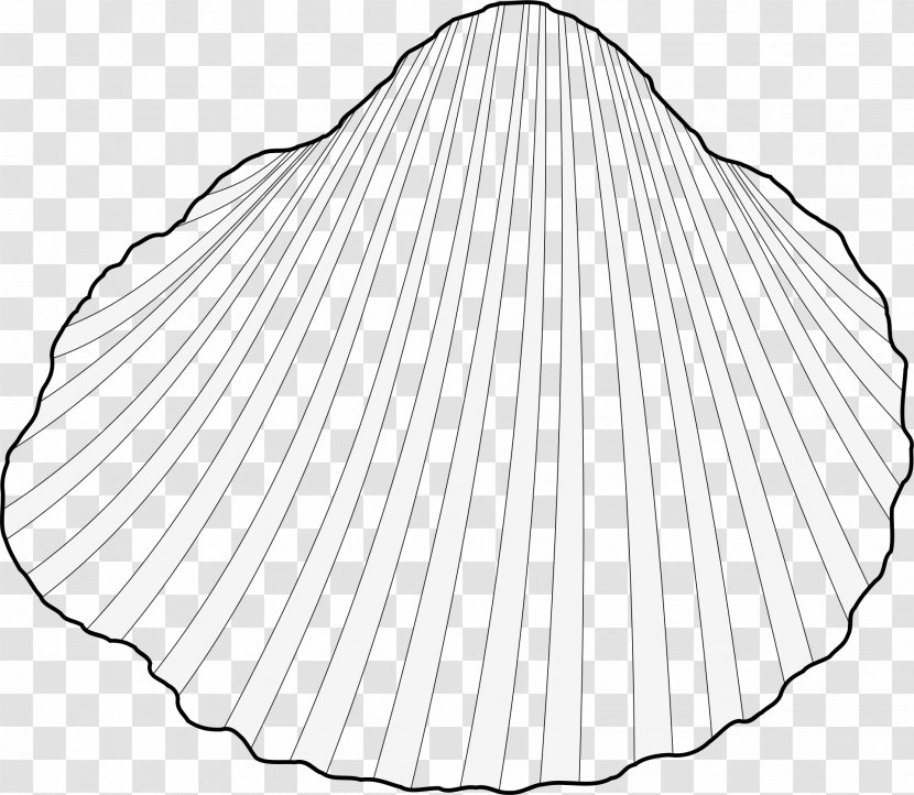 Drawing Monochrome Photography Line Art - Shell Transparent PNG