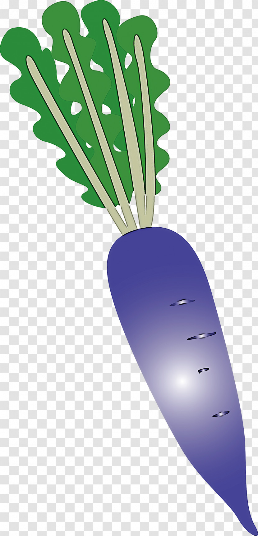 Radish Transparent PNG