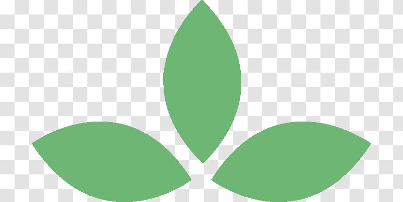 Logo Leaf Font Product Design Plant Stem - Origin Buddhism Transparent PNG