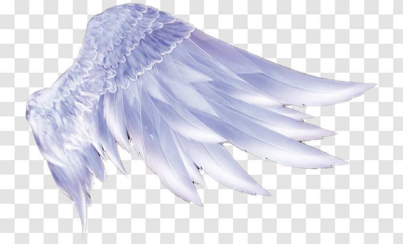 Wing Icon - Angel - Wings Transparent PNG