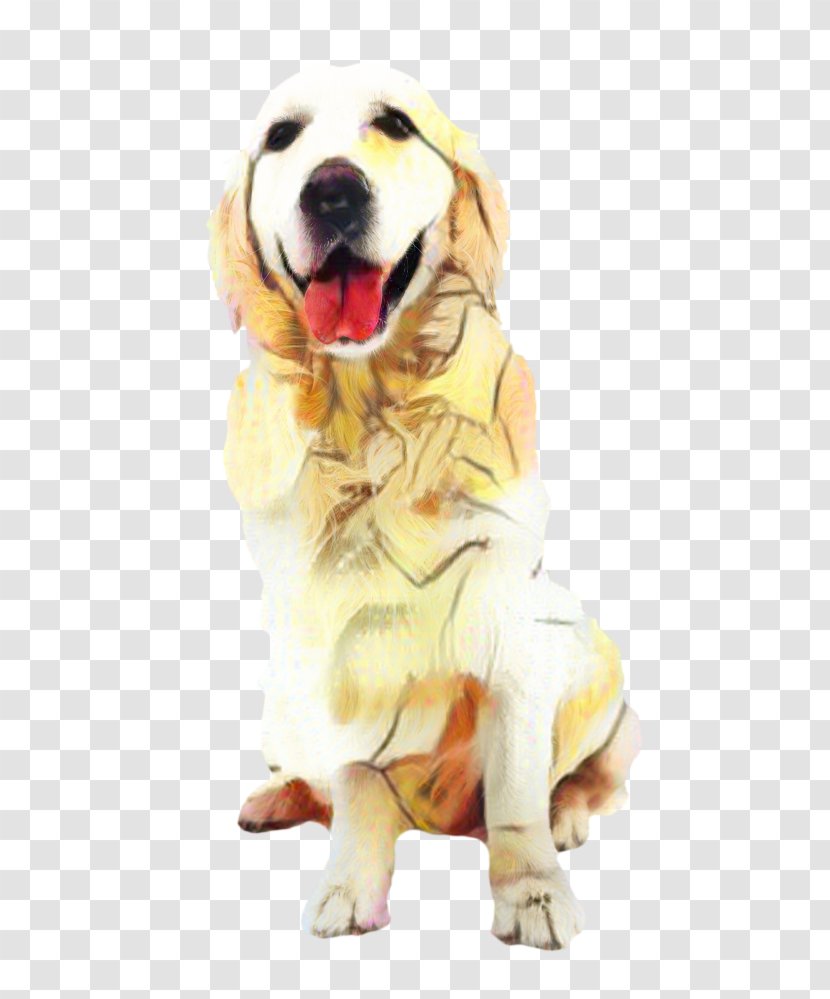 Golden Retriever Background - Sporting Group - Ancient Dog Breeds Snout Transparent PNG