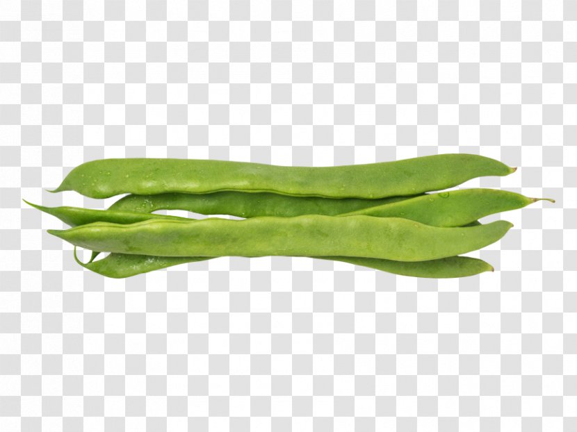 Green Bean Vegetable Food Common - Adzuki Transparent PNG
