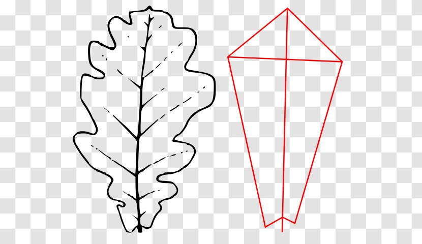 Leaf Paper Angle Clip Art - Hm - Quercus Robur Transparent PNG
