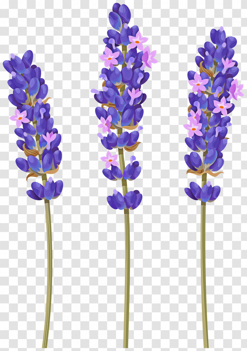 Lavender Transparent PNG