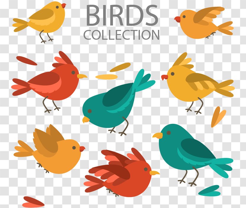 Lovebird Feather Illustration - Cartoon - Seven Color Bird Transparent PNG