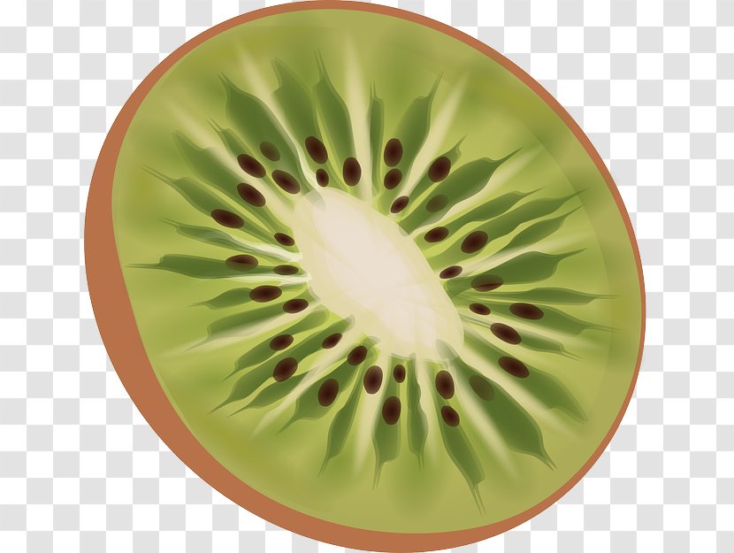 Fruit Salad Kiwifruit T-shirt OpenSUSE Clip Art - Kiwi Transparent PNG