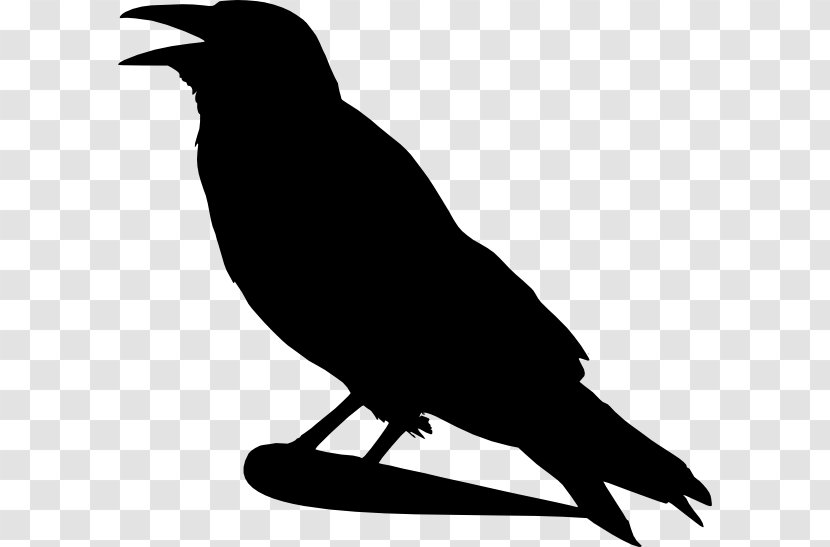 Crows Bird Clip Art - Beak Transparent PNG