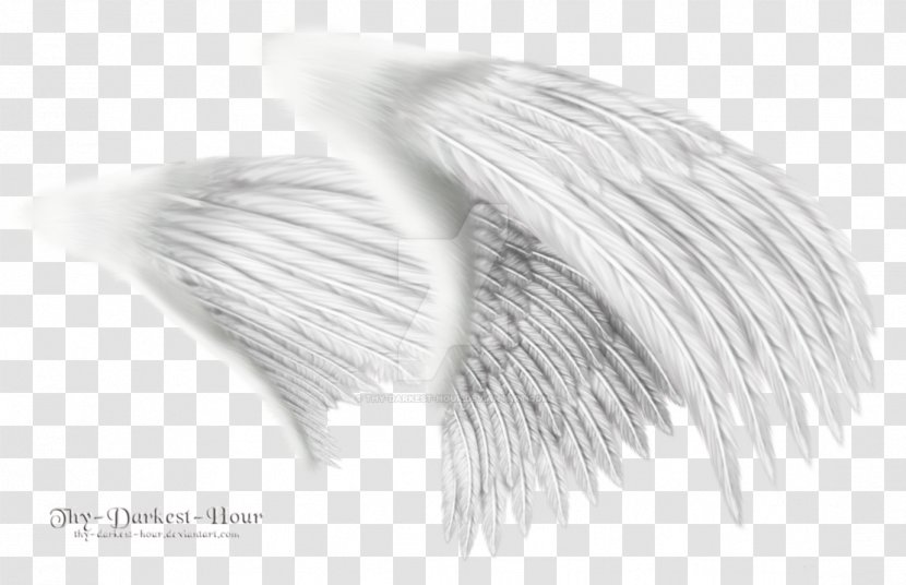 Clip Art - Wing - Angel Wings Transparent PNG