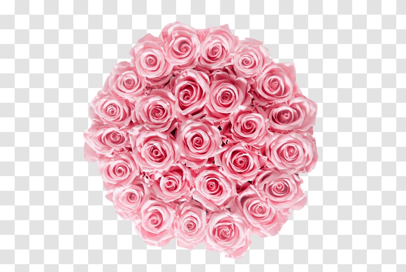 Garden Roses Cabbage Rose Cut Flowers Floral Design - Bridal Pink Grace Flowerbox Transparent PNG