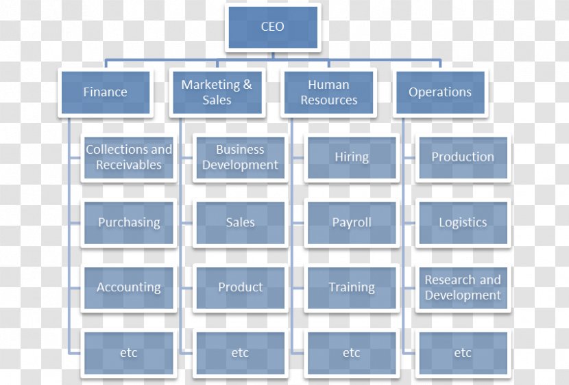 Organizational Chart Structure Functional Organization - Text - Board Of Directors Transparent PNG