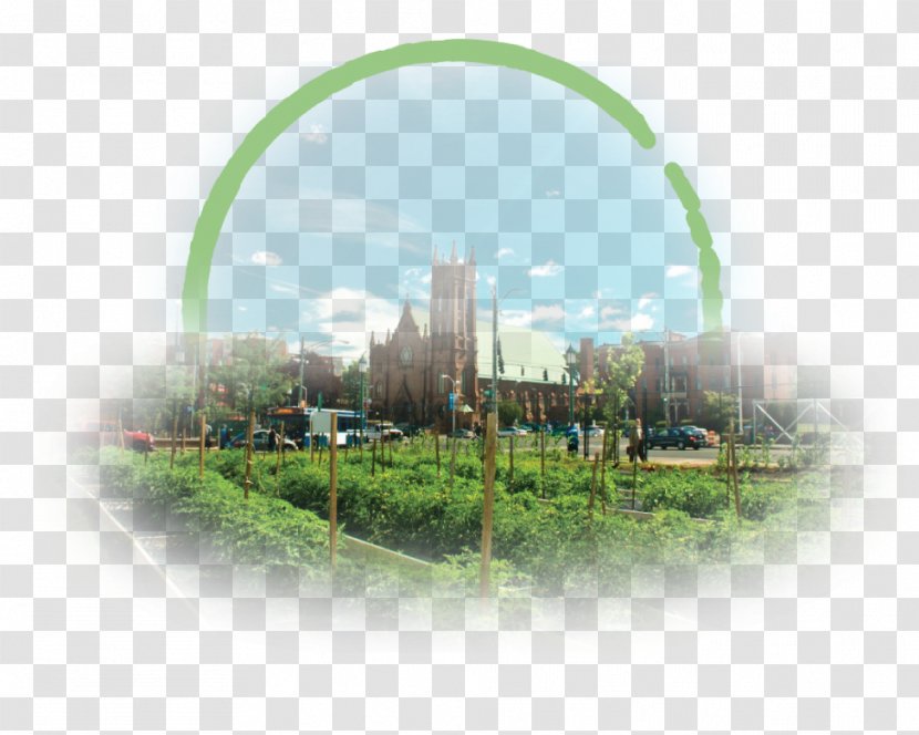 Grow Hartford Urban Agriculture Food System Inc Farm - Grass Transparent PNG