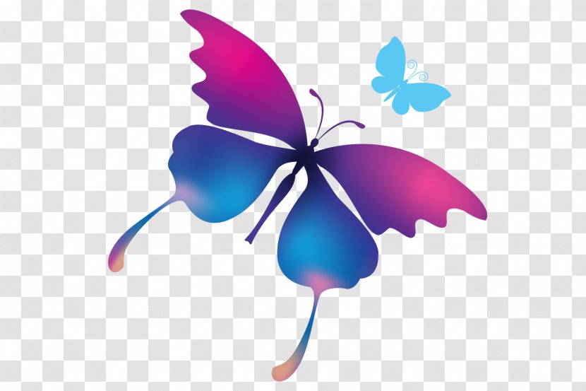 Butterfly Insect Cartoon Illustration - Arthropod - Purple Clip Transparent PNG
