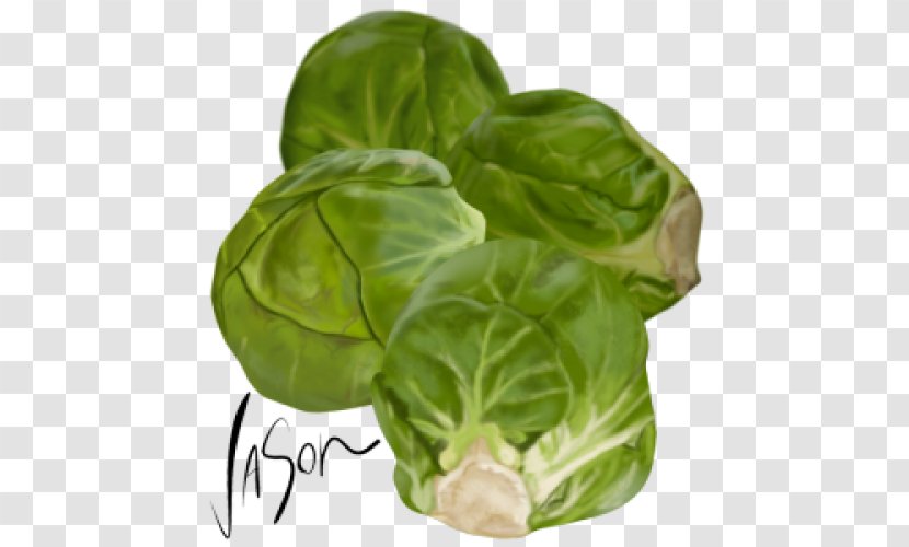 Brussels Sprout Vegetarian Cuisine Collard Greens Capitata Group Spring - Romaine Lettuce - Chard Transparent PNG