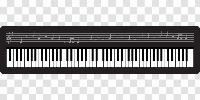 Digital Piano Electric Nord Electro Player Musical Keyboard - Cartoon - Pianohd Transparent PNG