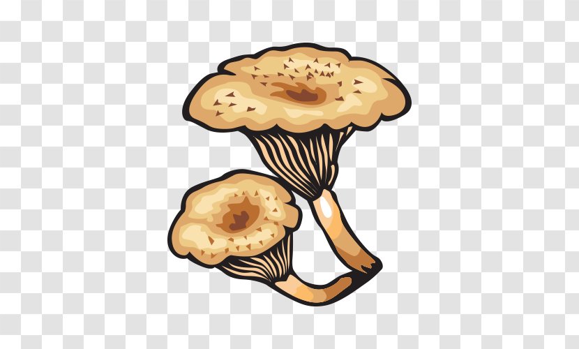 Mushroom Fungus Shiitake - Vecteur - Hand-painted Vector Mushrooms Transparent PNG