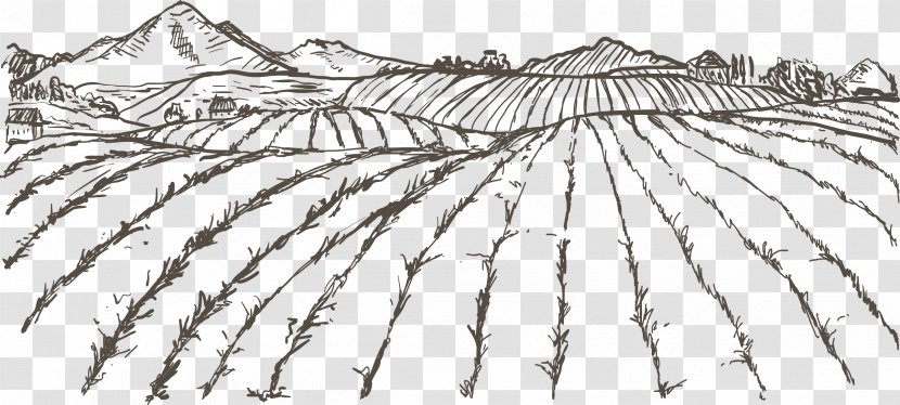 Agriculture Farmer Drawing - Symmetry - Sketch Field Transparent PNG