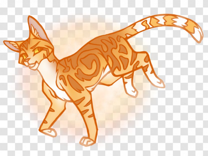 Whiskers Kitten Tabby Cat Canidae - Fiction Transparent PNG