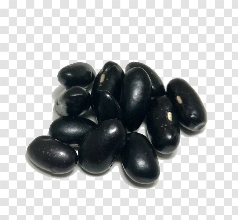 Kidney Bean Heirloom Plant Black Turtle Food - Pebble Transparent PNG