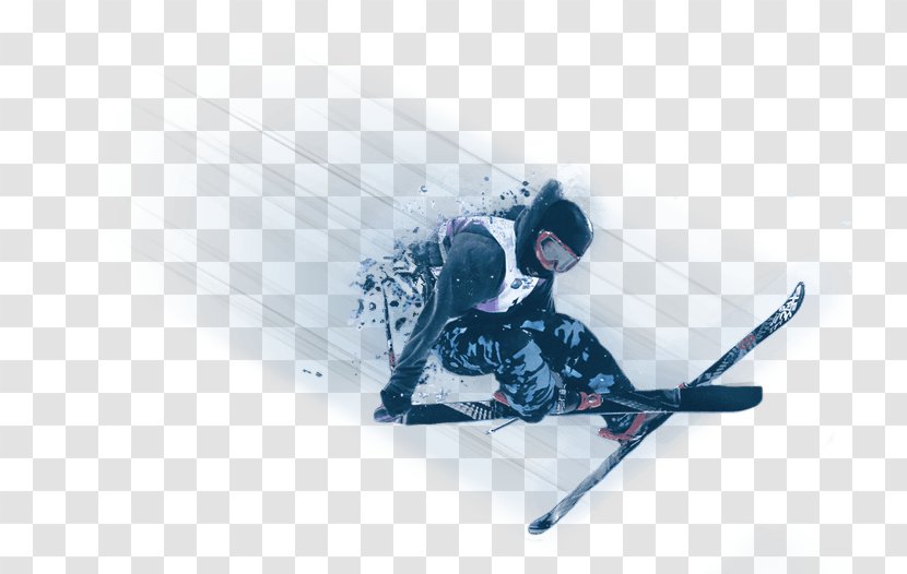 Skiing Alto Campoo Winter Sport Snowboarding Transparent PNG