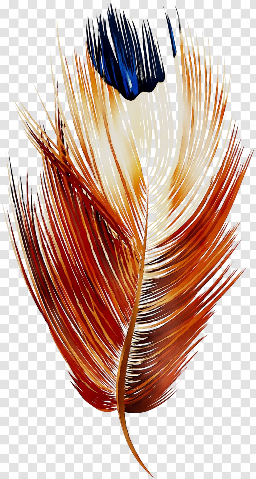 Feather Orange S.A. - Natural Material - Sa Transparent PNG