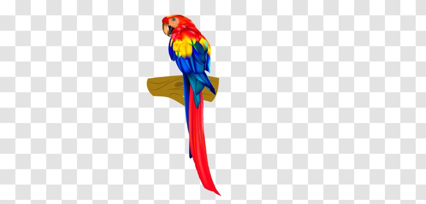 Parrot Lovebird Clip Art - Birdcage Transparent PNG