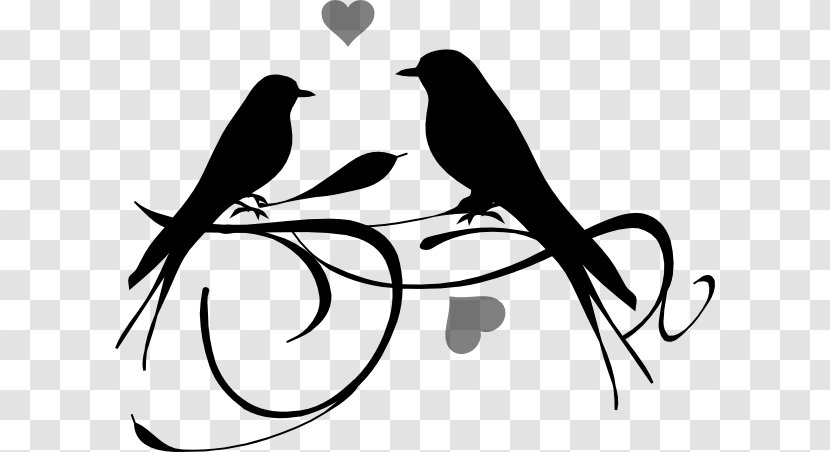 Drawing Clip Art - Black And White - Bird Transparent PNG