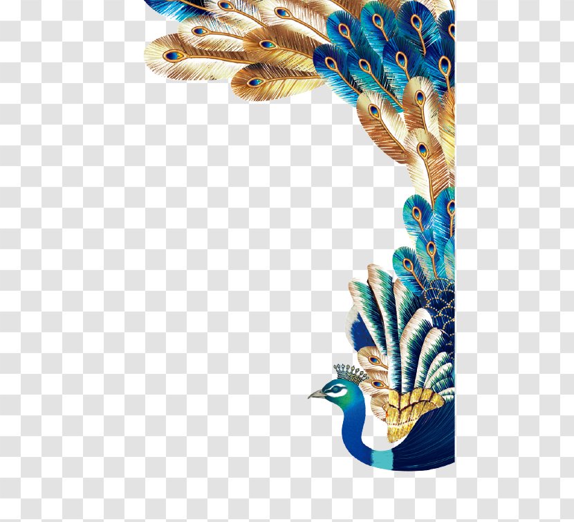 Peafowl Euclidean Vector Feather - Plot - Peacock Transparent PNG
