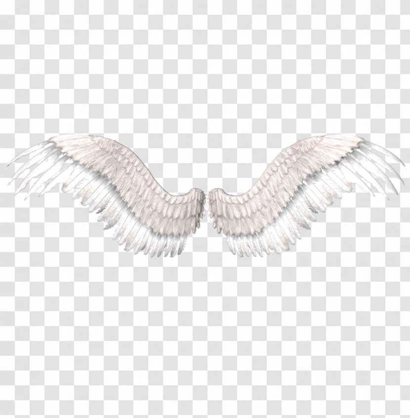 Wing Clip Art - Neck Transparent PNG