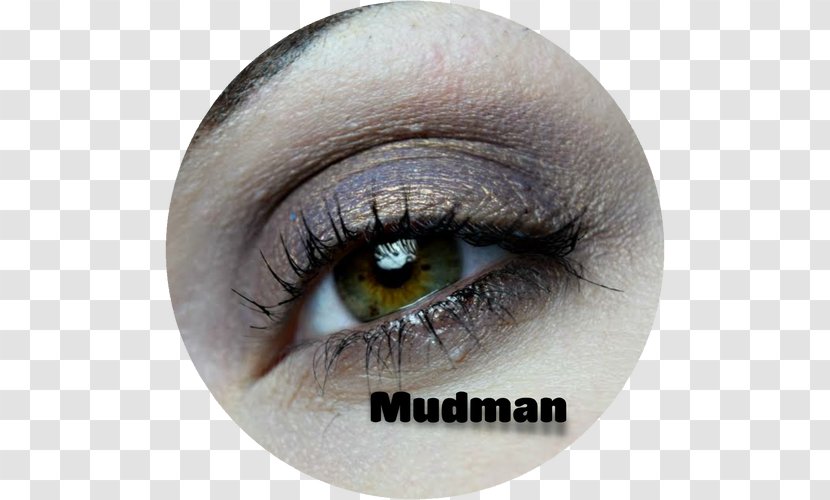 Eyelash Extensions Eye Shadow Close-up Artificial Hair Integrations - Silhouette - Skunk Ape Transparent PNG