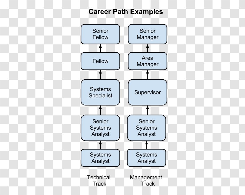 Systems Analyst Organization Career Job Description Information System - Engineering - Computer With Chart Illustration Transparent PNG