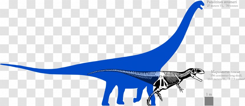 Mapusaurus Argentinosaurus Paralititan Bruhathkayosaurus Tyrannosaurus - Spinosaurus - Dinosaur Transparent PNG