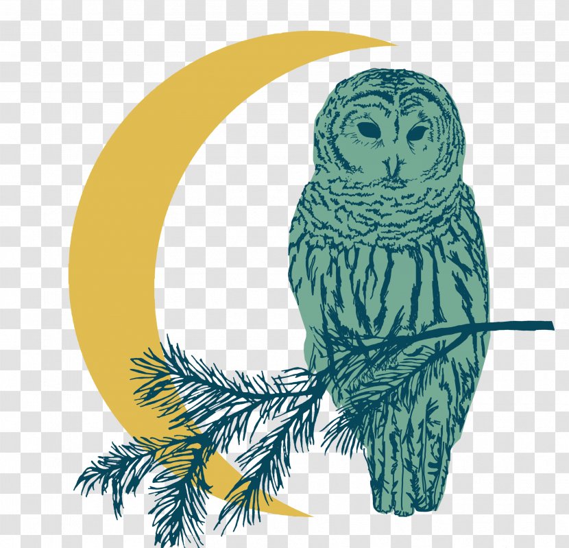 Cartoon Nature Background - Great Grey Owl - Barn Bird Of Prey Transparent PNG