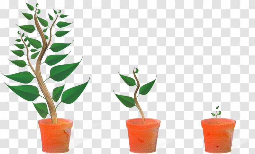 Flower Garden - Plant - Stem Transparent PNG