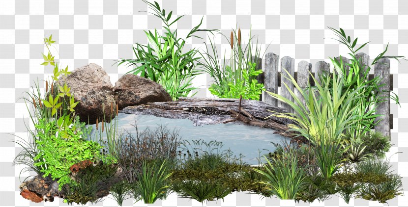 Lawn Garden Landscape Design Clip Art - Herbaceous Plant - Lake Transparent PNG