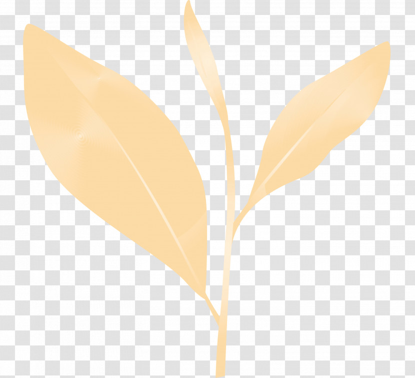 Leaf Plant Flower Pedicel Transparent PNG
