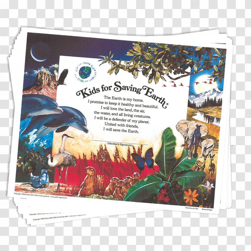 Kids For Saving Earth Bridge Road Curriculum Child Environmentally Friendly - Education - Children Certificate Transparent PNG
