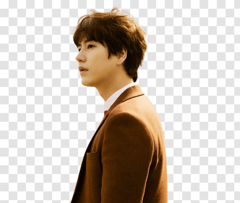 Cho Kyuhyun Super Junior At Gwanghwamun 7 Years Of Love Kim Kibum - Chin - Teaser Transparent PNG