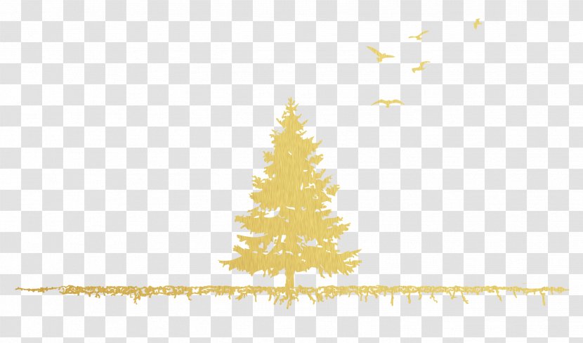 Christmas Tree O Tannenbaum Fir - Pine - Birdcage And Heart Transparent PNG