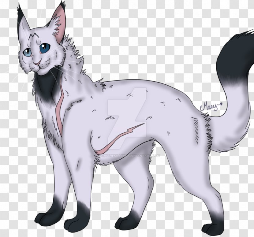 Whiskers Kitten Domestic Short-haired Cat Dog - Fauna Transparent PNG