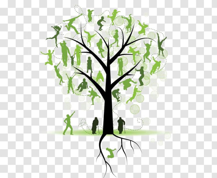 Family Tree Genealogy Clip Art - Floral Design - Silhouette Transparent PNG