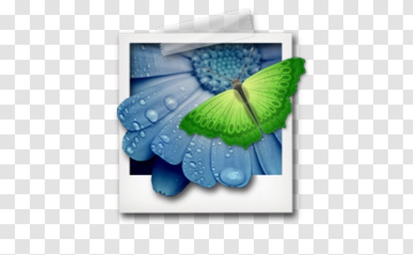 Color Image Viewer MacOS File - Flower - Pollinator Transparent PNG