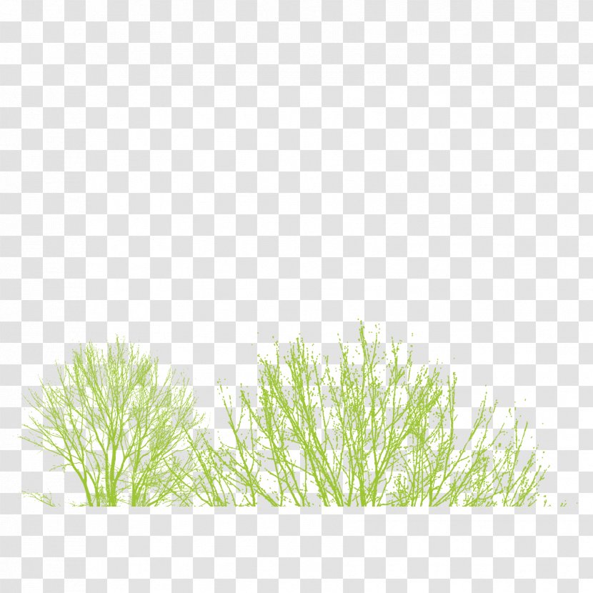 Icon - Operating System - Grass Transparent PNG
