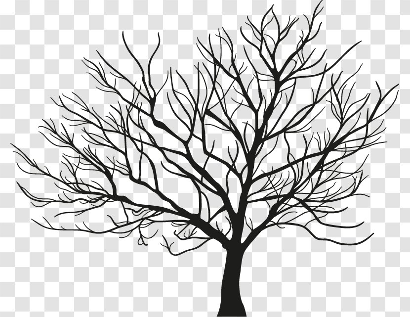 Tree Branch Winter - Monochrome Transparent PNG
