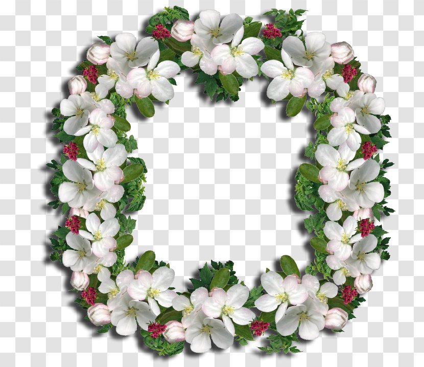 Floral Design Wreath Flower Hair - Flowering Plant Transparent PNG