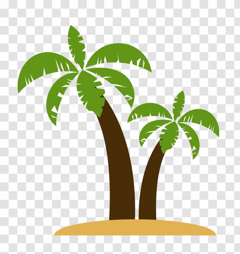 Intelligence Arecaceae Psychologist Gedachte Person - Palm Tree - Vector Island Coconut Material Transparent PNG