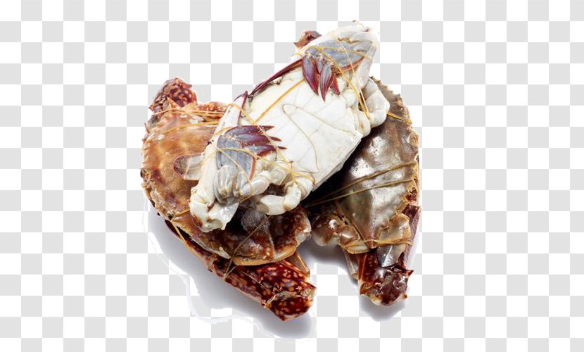 Dungeness Crab Seafood King - Wild Chile Transparent PNG