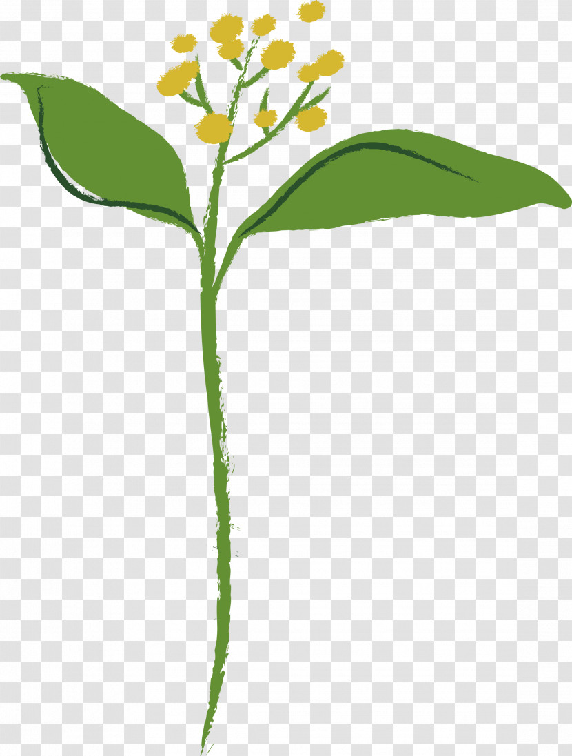 Flower Alpine Forget-me-not Plant Leaf Plant Stem Transparent PNG