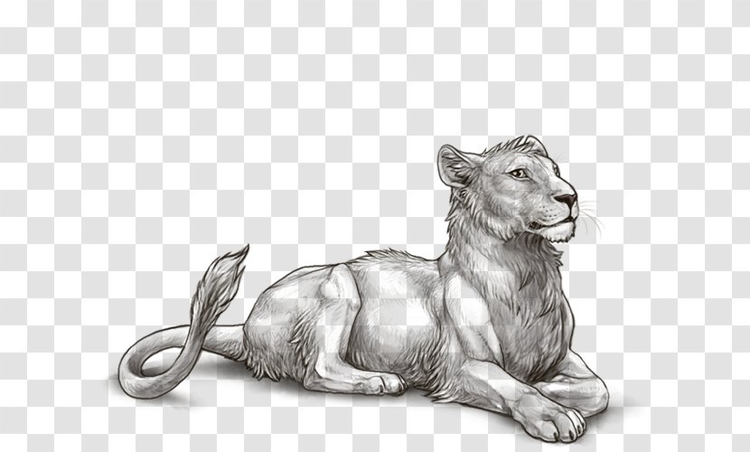 Lion Mutation Melanism Sirenomelia - Carnivoran - Head Transparent PNG